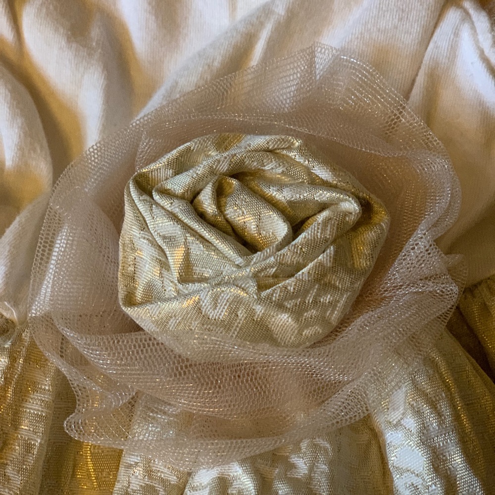 Princess Dress - Picture 2 of 4